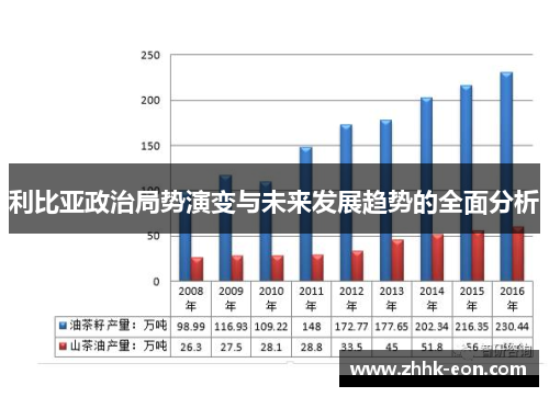 利比亚政治局势演变与未来发展趋势的全面分析 利比亚政治局势演变与未来发展趋势的全面分析